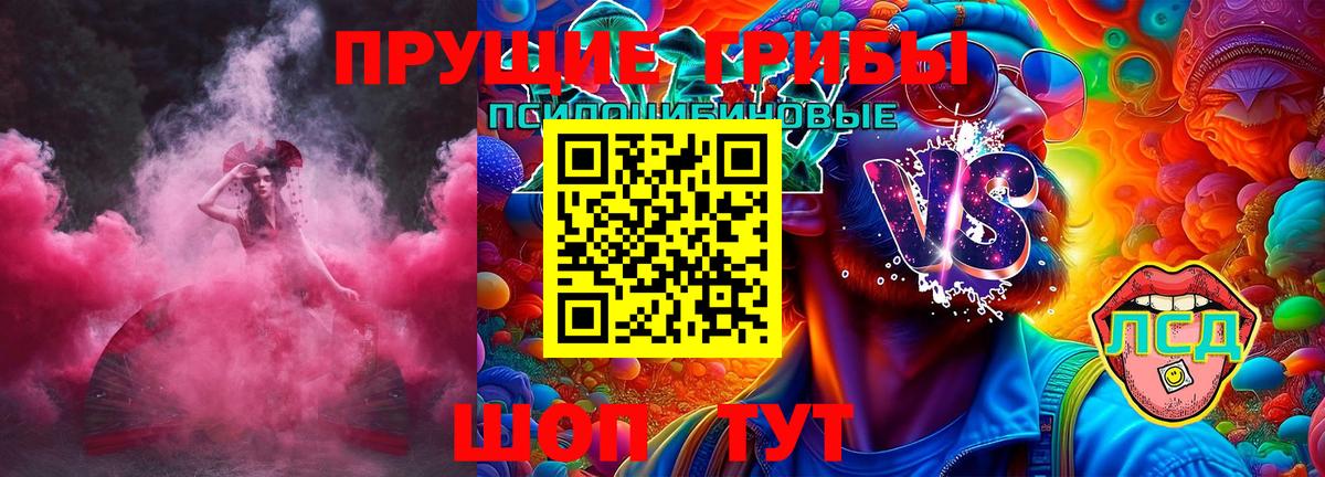 где купить наркотик  Псилоцибиновые грибы прущие грибы  Вход с VPN  Ачхой-Мартан 