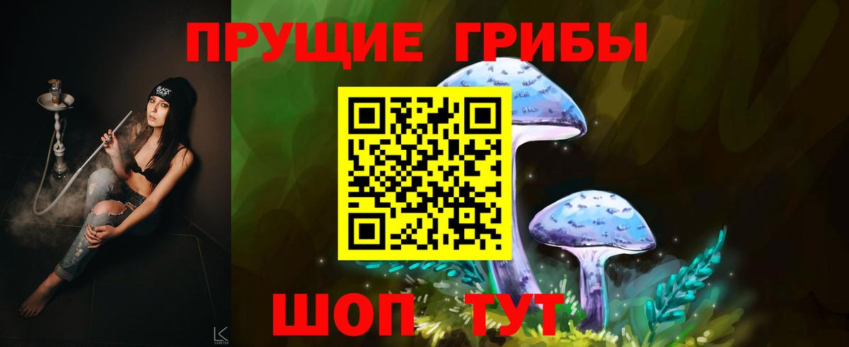 Галлюциногенные грибы мицелий Ачхой-Мартан